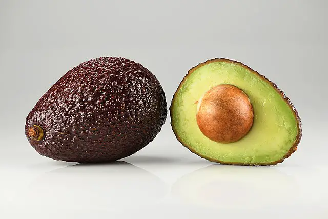 Health Benefits of the Avocado-Hass Avocado