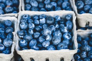 The Health Benefits and History of Blueberries