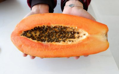 The Ultimate Papaya Guide