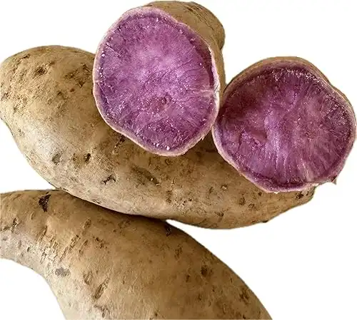 3 Pounds Fresh Okinawan Japanese Purple Sweet Potatoes White Skin with Vibrant Purple Flesh, Grown in Hawaii